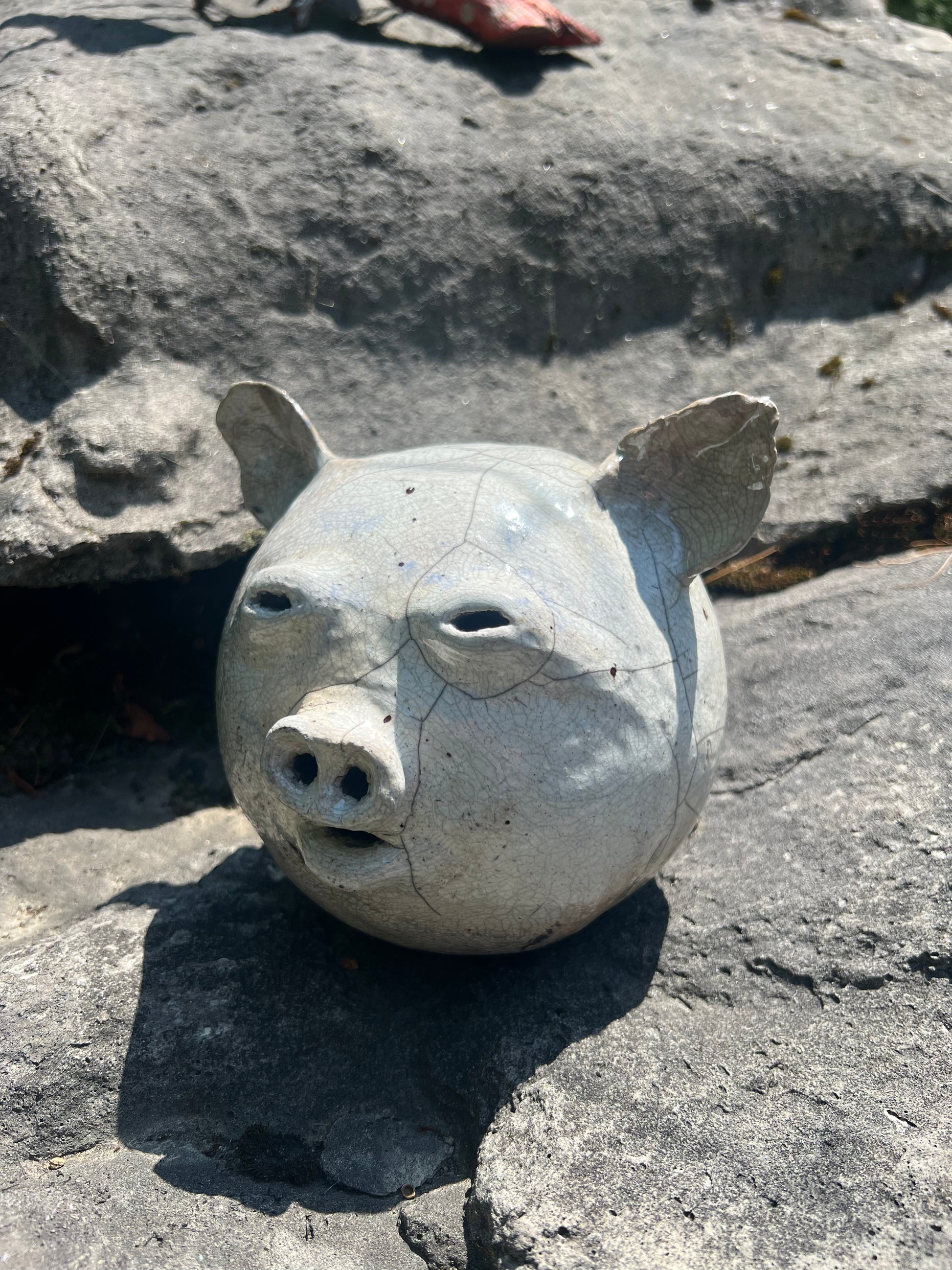 The Dirty Pig