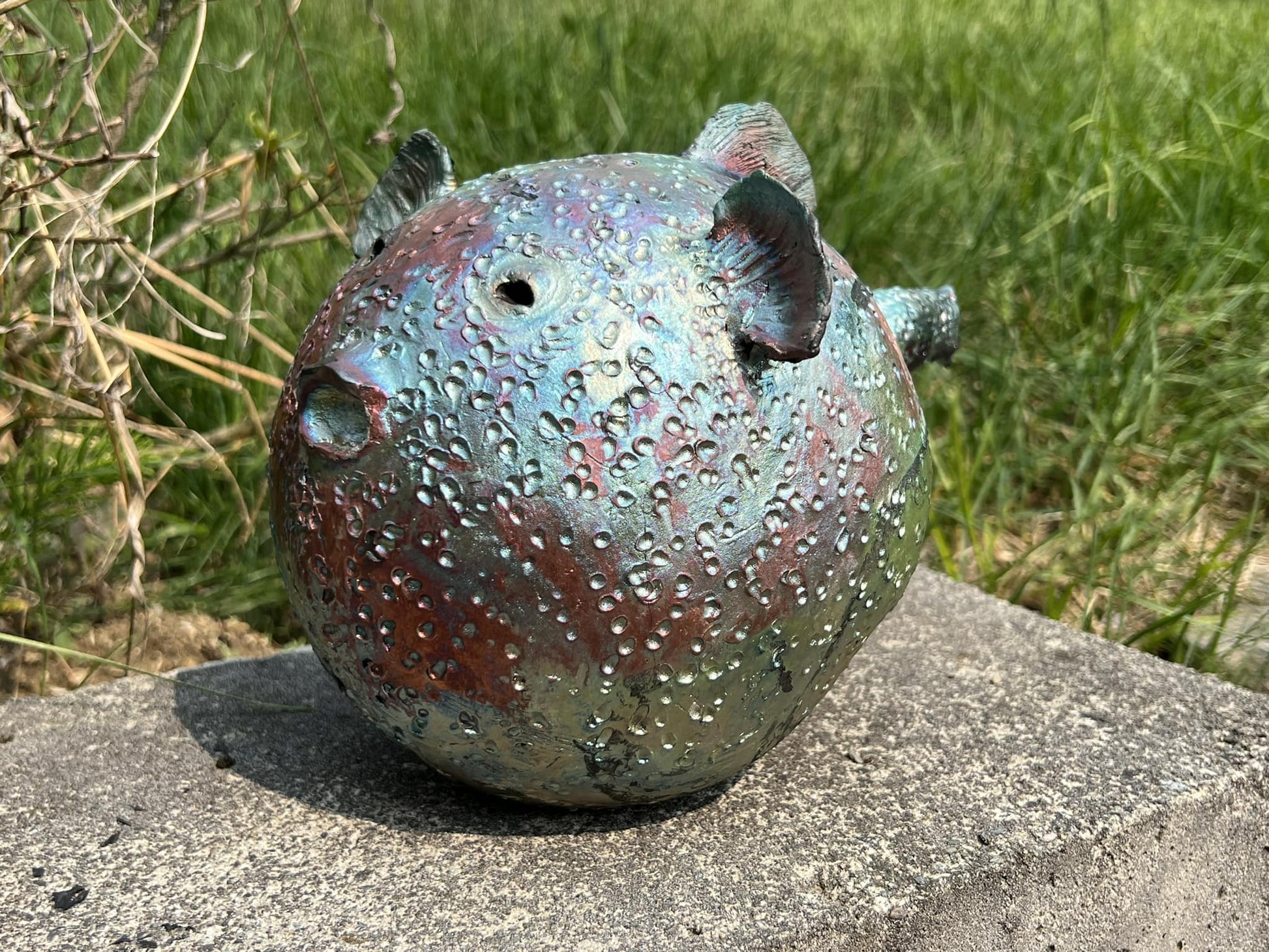 Mr Puffer Fish